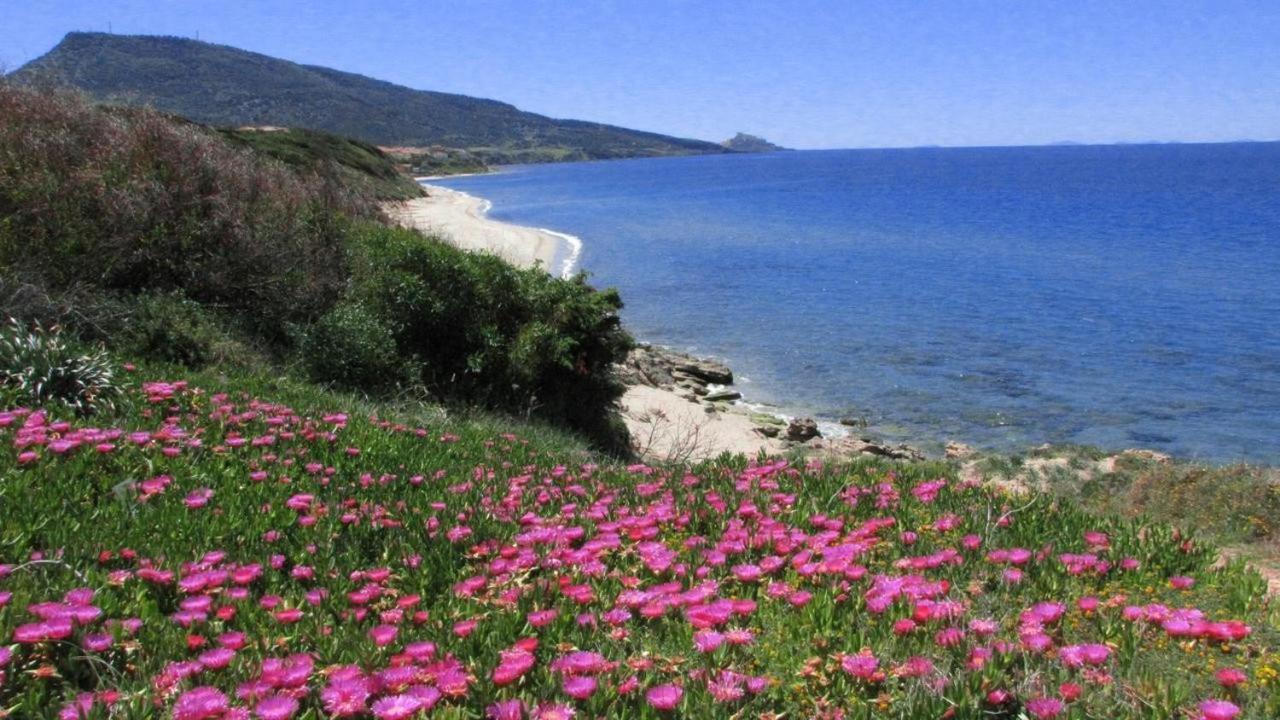 Alba Stupendo Appartamento In Villa Fronte Mare - Golfo Dell'Asinara - Internet Free Valledoria  Exterior foto