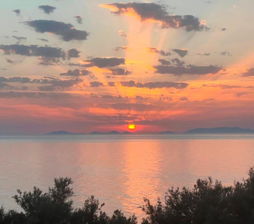 Alba Stupendo Appartamento In Villa Fronte Mare - Golfo Dell'Asinara - Internet Free Valledoria  Exterior foto